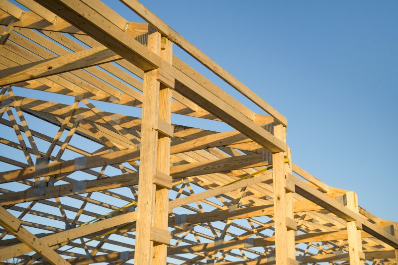 Roof Framing in Conroe, TX